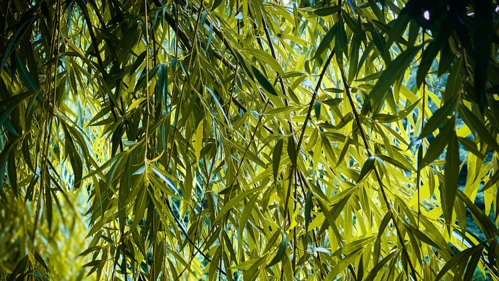 New Site, same&nbsp;goals