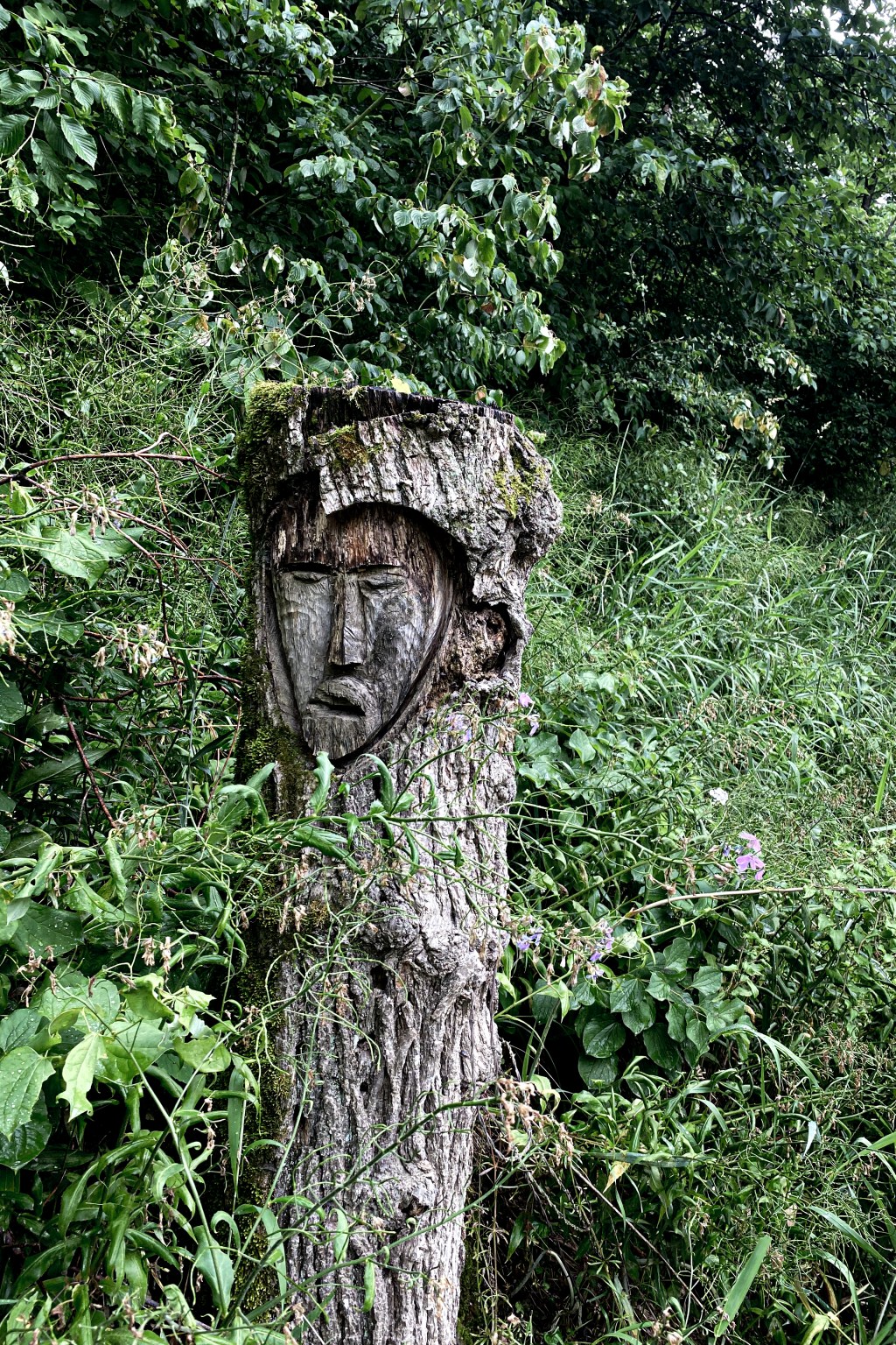 From Fantasy to Dystopia: My Journey to Finding Stories That&nbsp;Matter