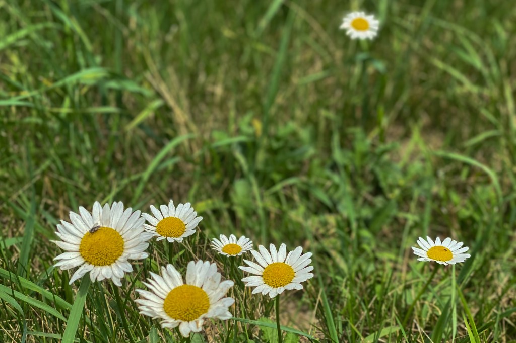 Learning to Accept that I’m&nbsp;Disabled