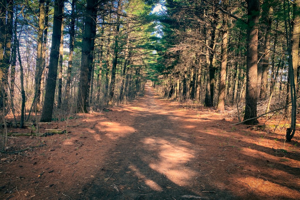 Letting Myself Down,&nbsp;Gently